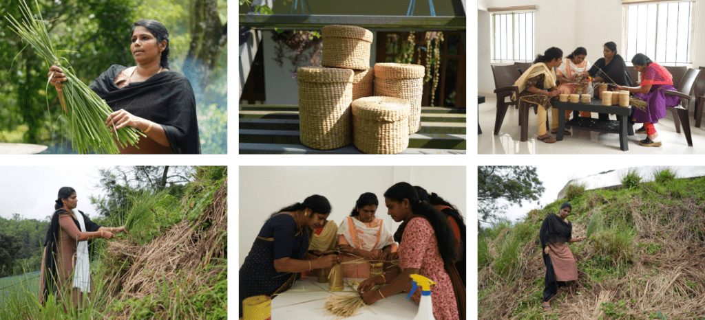 A Holistic Model of Sustainability
